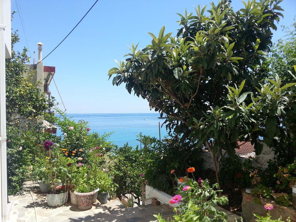 Hotel Friderica House Poros  Exterior foto